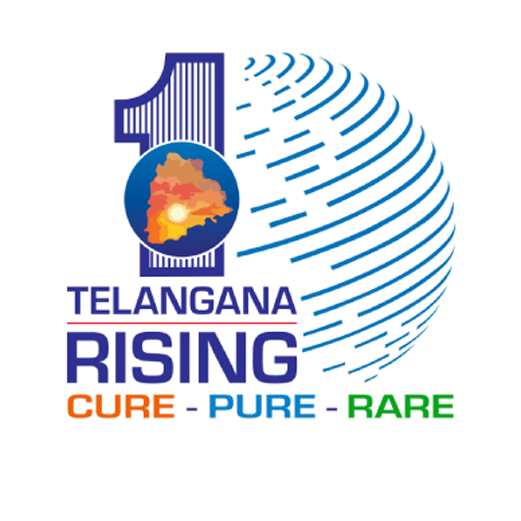 telangana rising 